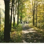 1 Canal towpath